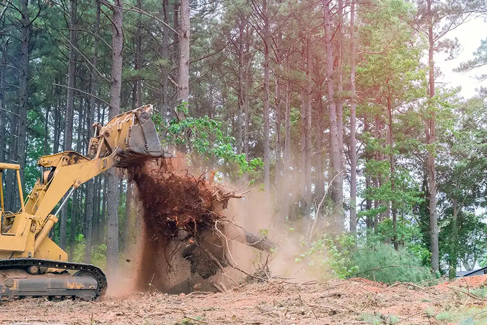 Excavation Work