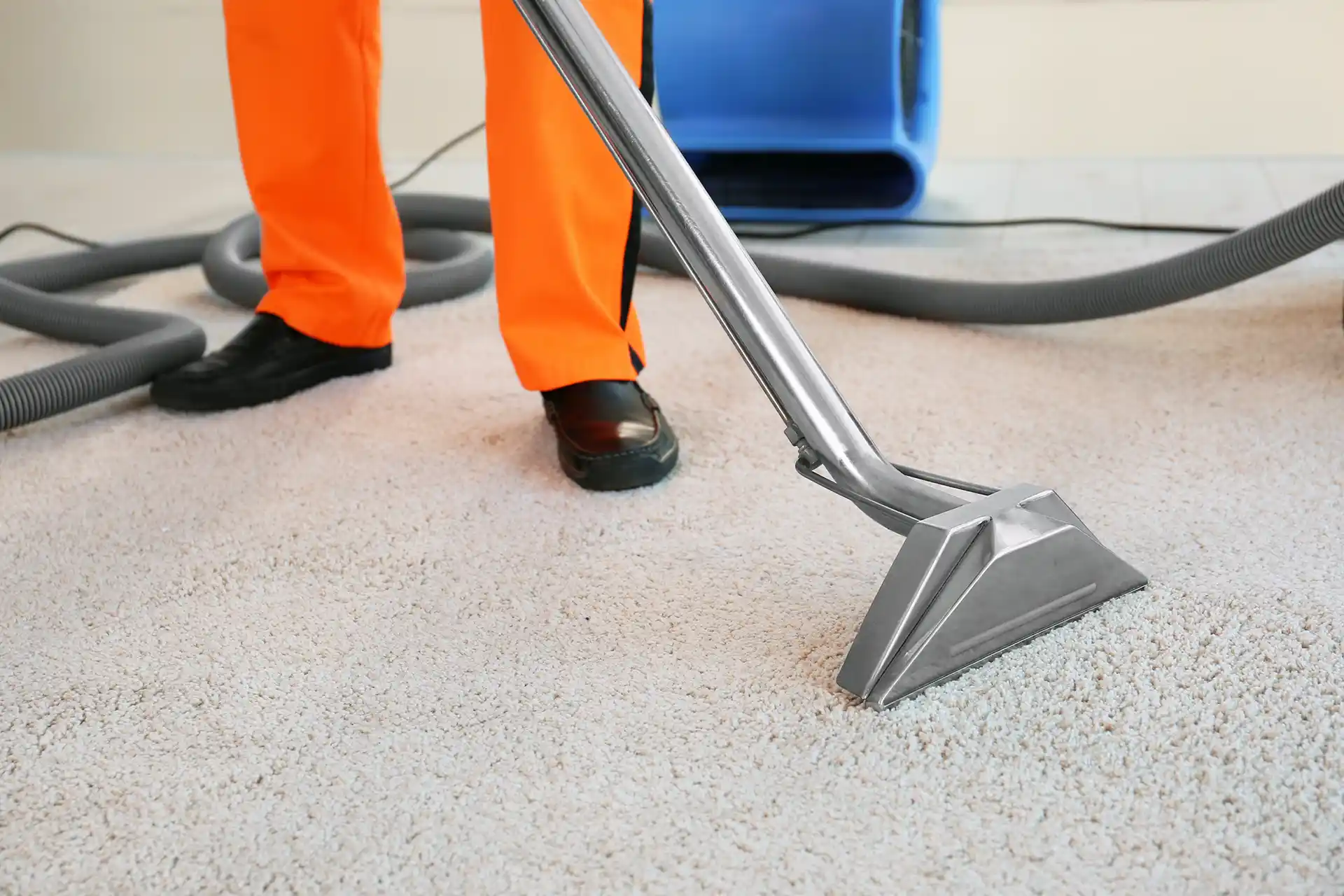 Green Scrub Carpet Cleaning