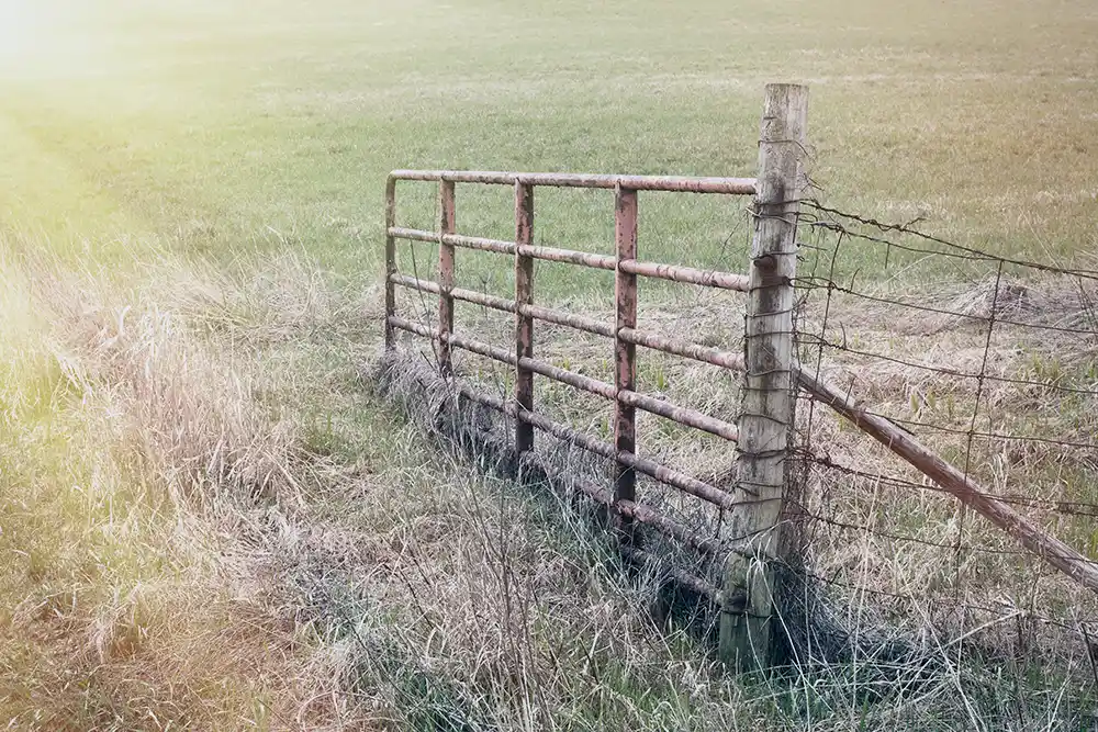 Fence Removal Service