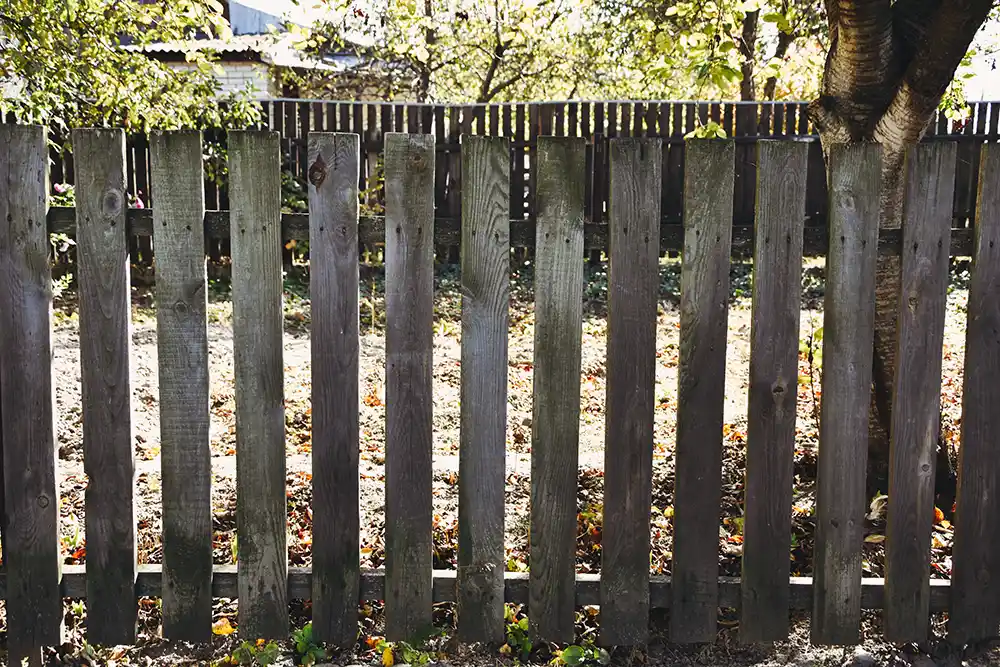 Fence Removal