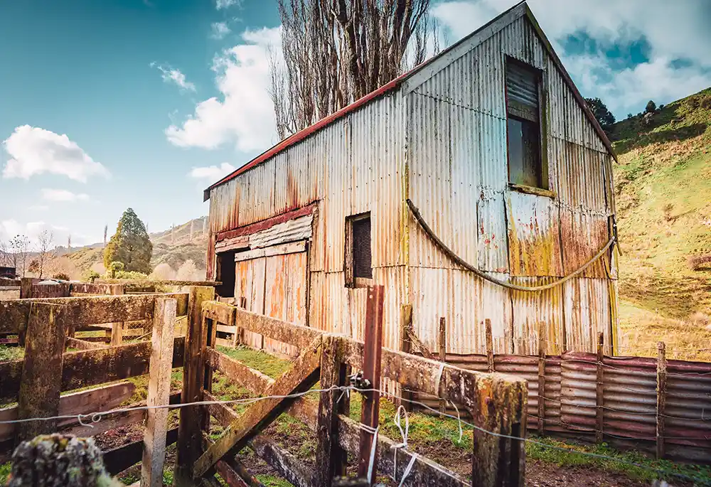 Junk Shed Removal